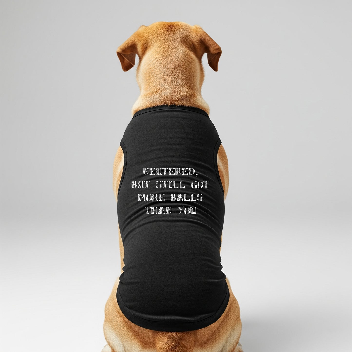 Neutered, But Still Got More Balls Than You [Dog T-Shirts]